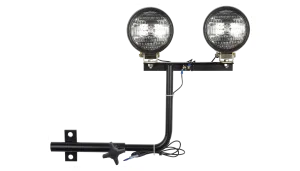 Dual light kit 