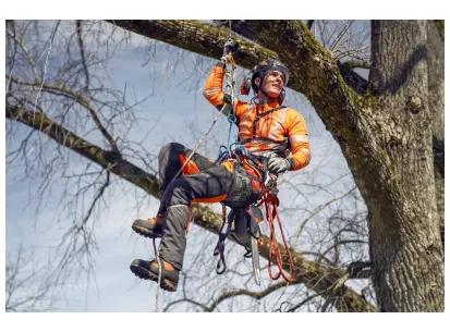 Delovna majica Technical High Viz  - Dolgi rokavi - EN20471 slika