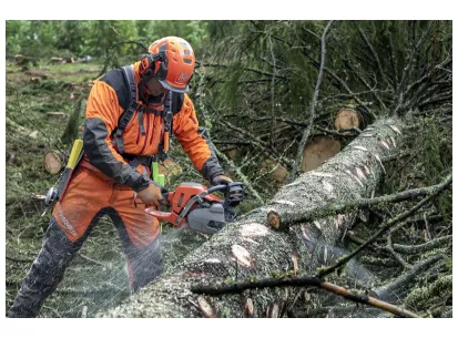 HUSQVARNA 550 XP® Mark II slika