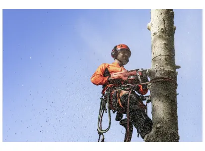 HUSQVARNA 550 XP® Mark II slika