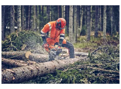 Husqvarna 560 XP® Mark II slika