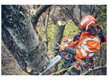 Husqvarna 560 XP® Mark II slika