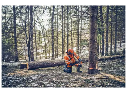 Husqvarna 562 XP® G Mark II slika