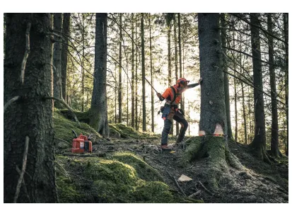 HUSQVARNA 572 XP® slika