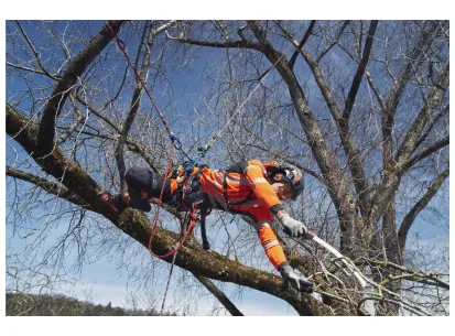 Husqvarna Climbing harness slika