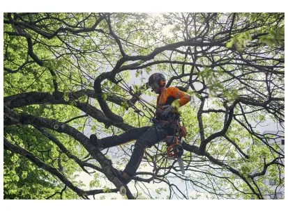 Husqvarna Climbing harness slika