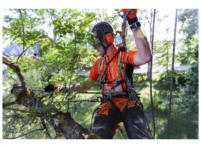 HUSQVARNA T535i XP® brez akumulatorja in polnilnika slika