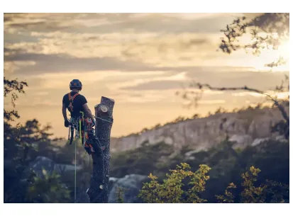 HUSQVARNA T540 XP® Mark III slika