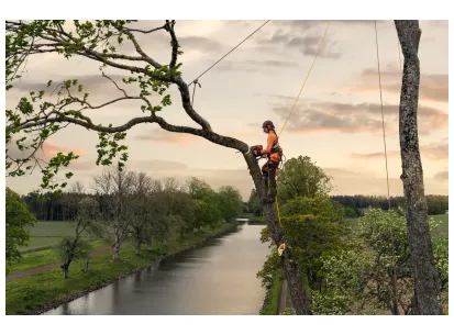 HUSQVARNA T540 XP® Mark III slika