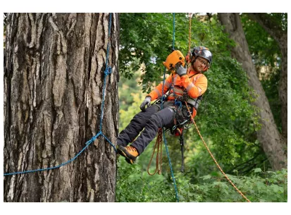 Husqvarna x Skylotec Power vzpenjalnik slika