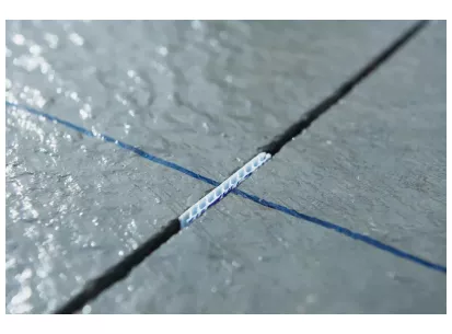 Skupni zaščitnik slika