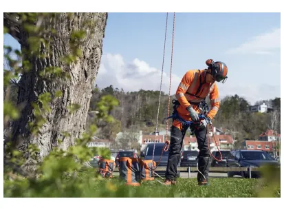 Vreča za vrvi slika
